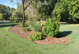 GG's - garden gallery