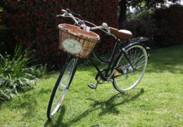 GG's By the river - rail and trails