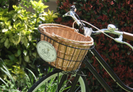 GG's By the river - rail and trails