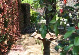 GG's - garden gallery