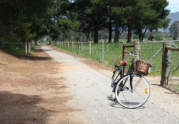 GG's By the river - rail and trails