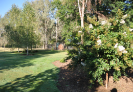 GG's - garden gallery