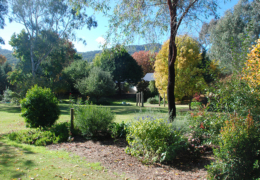 GG's - garden gallery