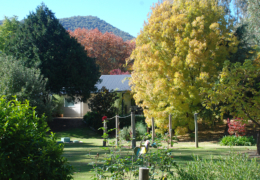 GG's - garden gallery