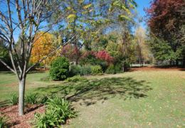 GG's - garden gallery