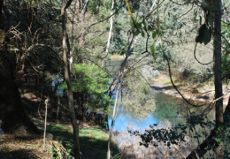 GG's by the river gallery