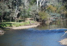 GG's by the river gallery