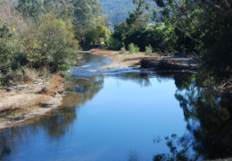 GG's by the river gallery