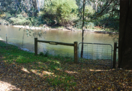 GG's by the river gallery