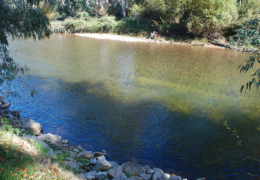 GG's by the river gallery