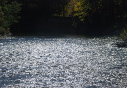 GG's by the river gallery