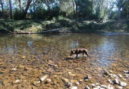 GG's by the river gallery