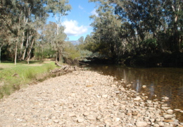 GG's by the river gallery