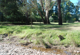 GG's by the river gallery