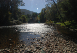 GG's by the river gallery