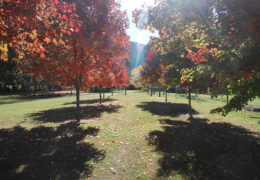 GG's - garden gallery