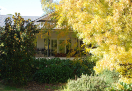 GG's - garden gallery